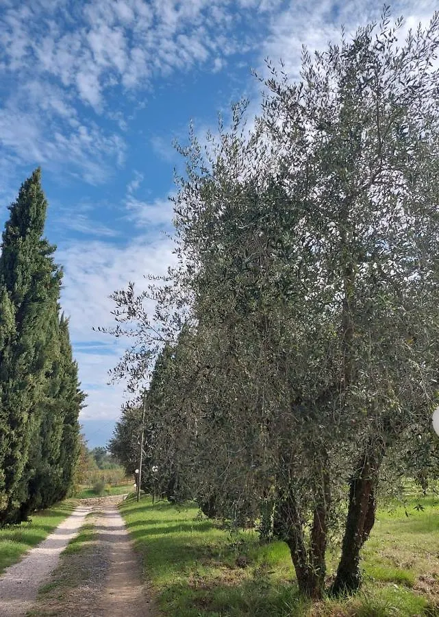 Podere Delle Arti Villa Figline Valdarno Farm stay