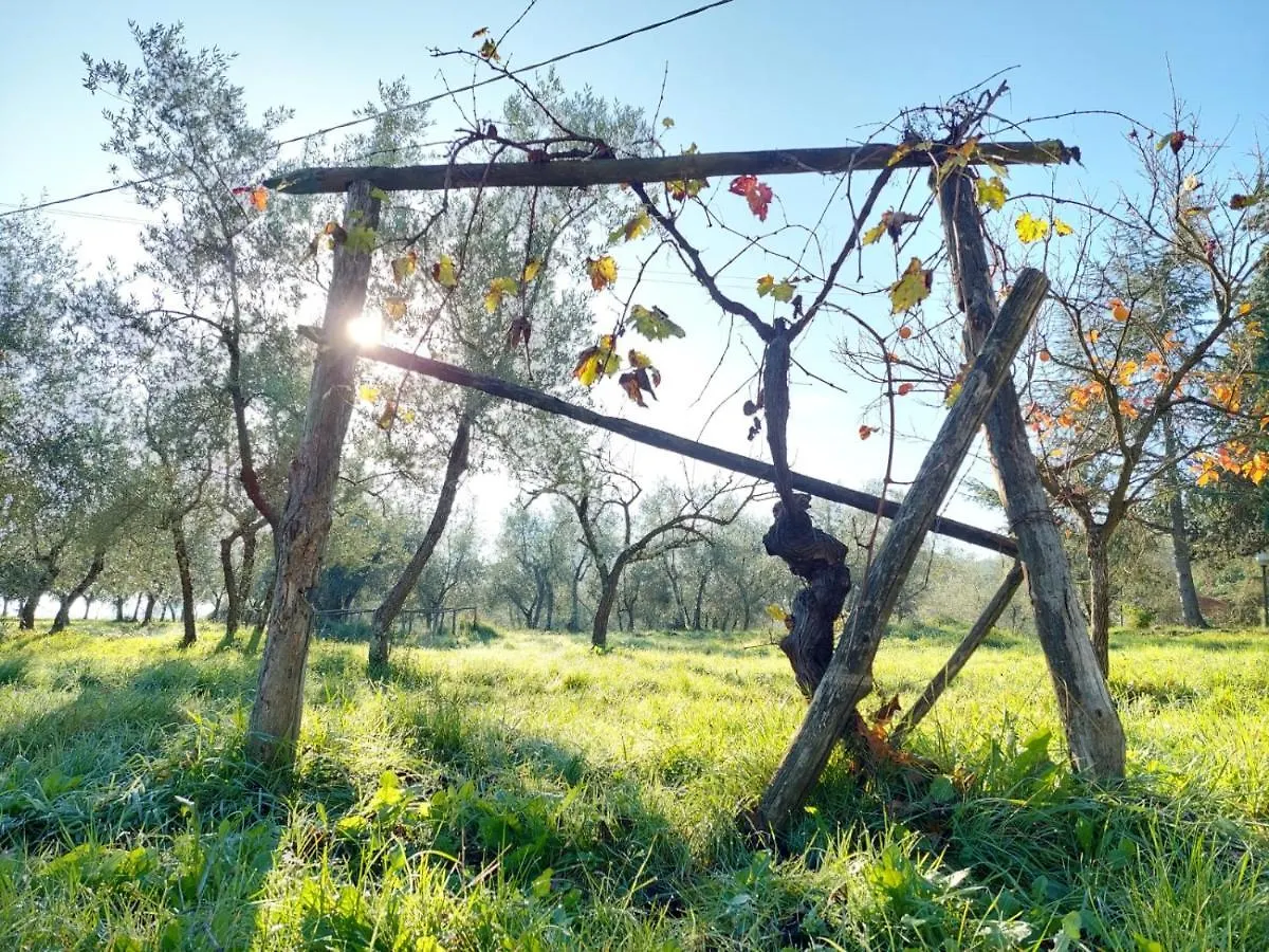 Farm stay Podere Delle Arti Villa Figline Valdarno