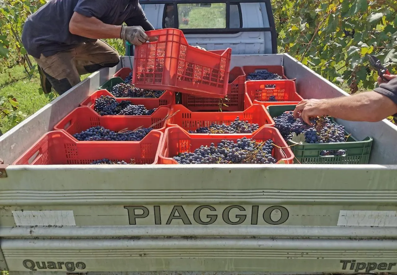 Podere Delle Arti Villa Figline Valdarno Italy