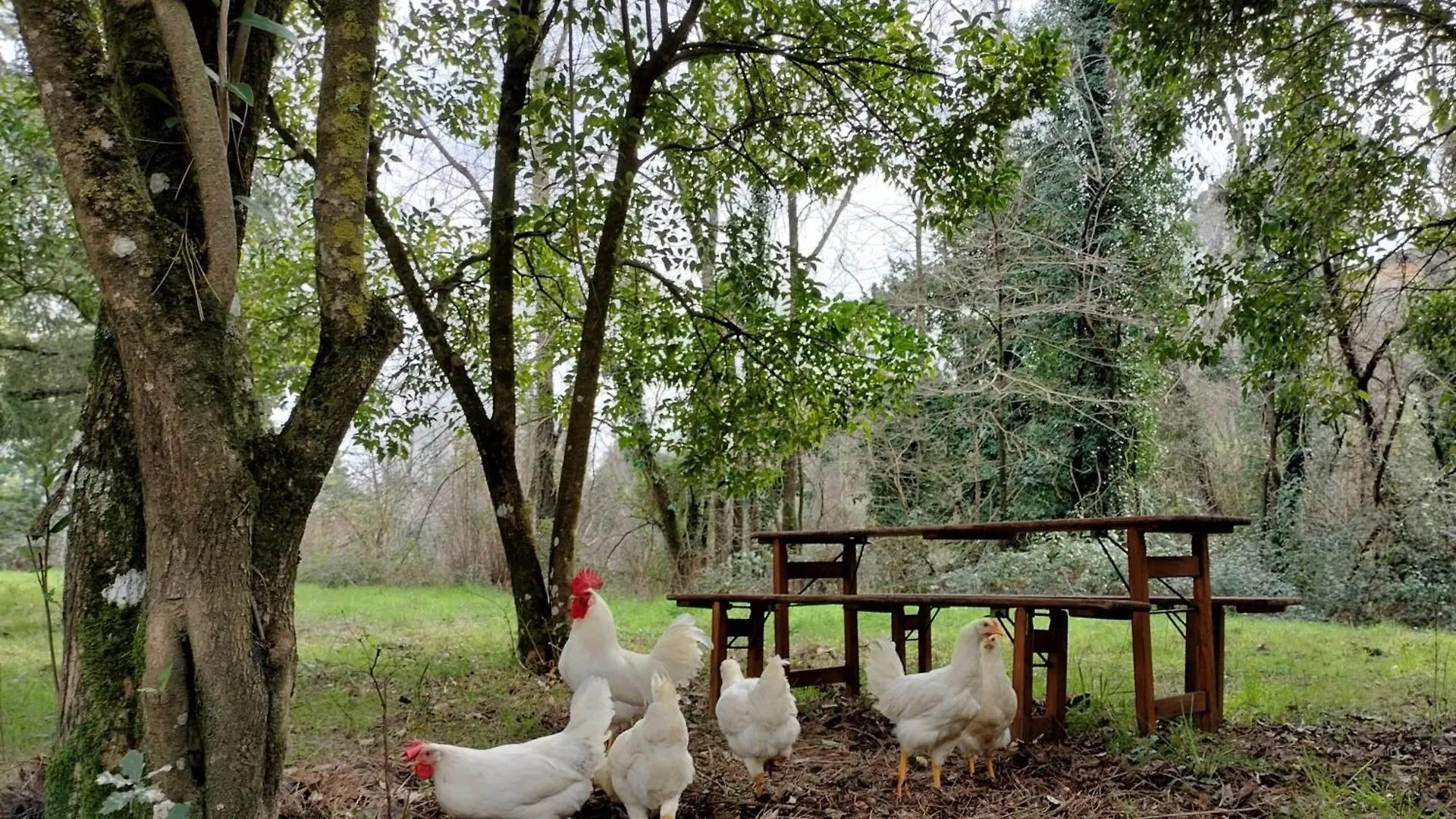Farm stay Podere Delle Arti Villa Figline Valdarno