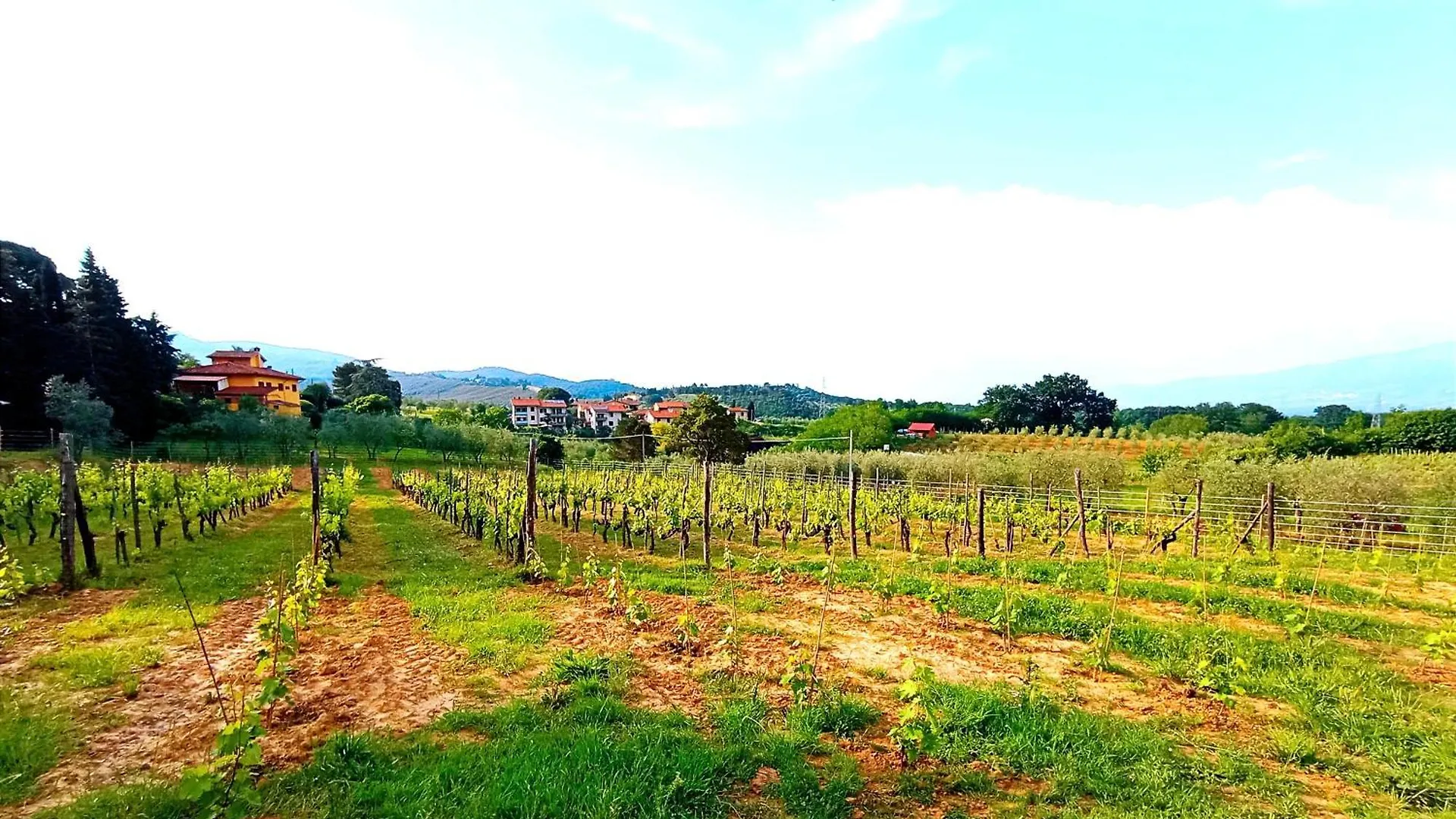 Podere Delle Arti Villa Figline Valdarno